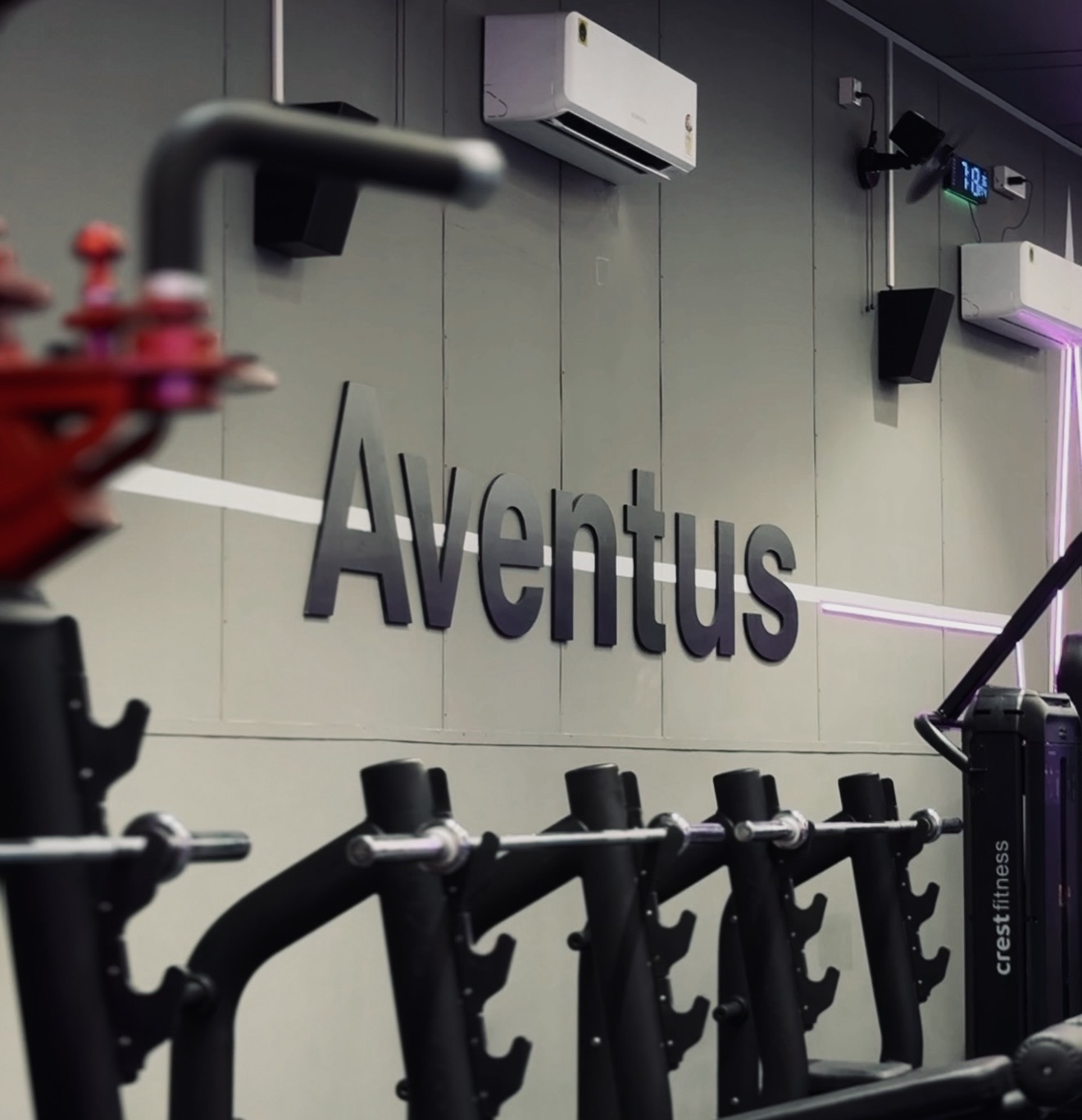 Workout